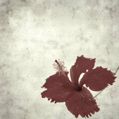  Eski kağıt arkaplan