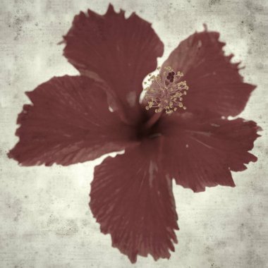  Eski kağıt arkaplan