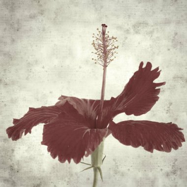  Eski kağıt arkaplan