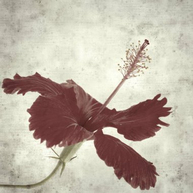  Eski kağıt arkaplan