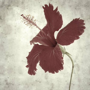  Eski kağıt arkaplan