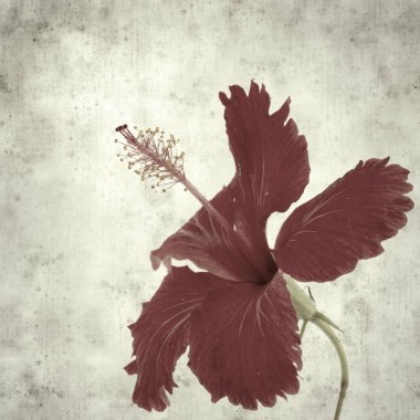  Eski kağıt arkaplan