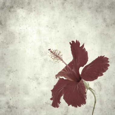  Eski kağıt arkaplan