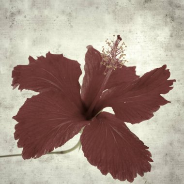  Eski kağıt arkaplan