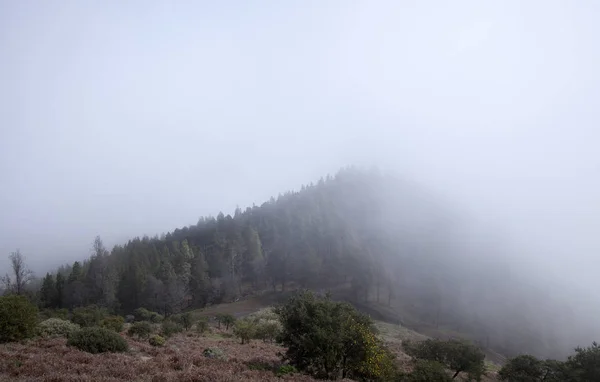 Gran Canaria March — Stock Photo, Image