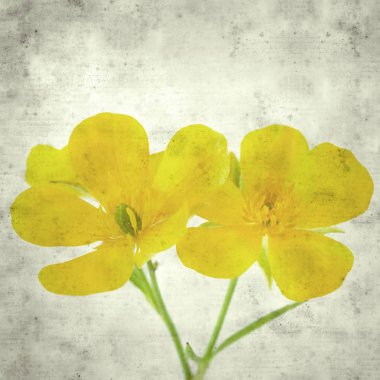  Eski kağıt arkaplan