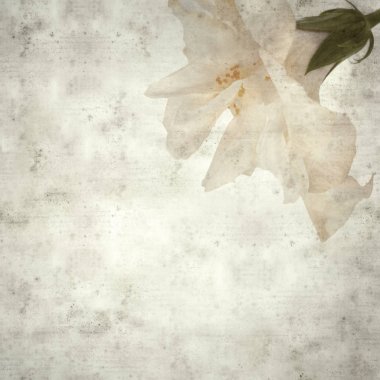  Eski kağıt arkaplan