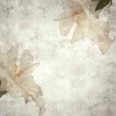  Eski kağıt arkaplan