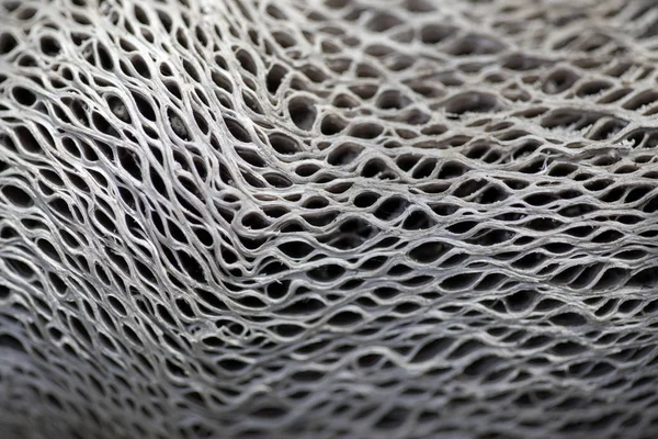 乾燥したウチワ サボテン サボテン テクスチャ — ストック写真