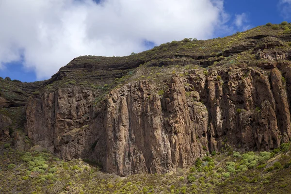 Gran Canaria, marzo — Foto de Stock