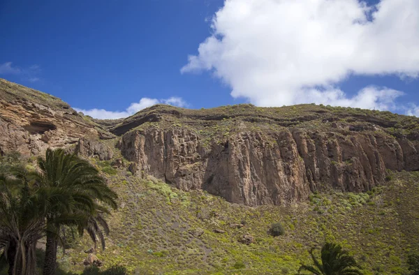 Gran canaria, marsch — Stockfoto