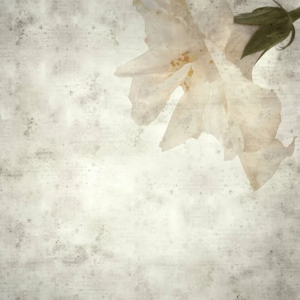  Eski kağıt arkaplan