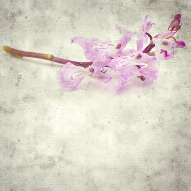  Eski kağıt arkaplan