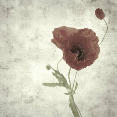  Eski kağıt arkaplan