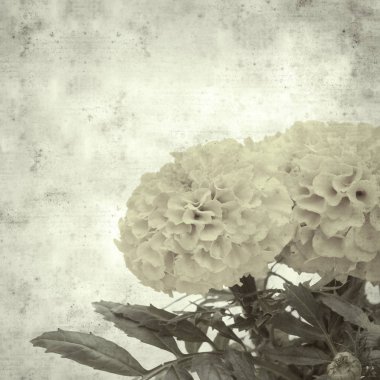  Eski kağıt arkaplan