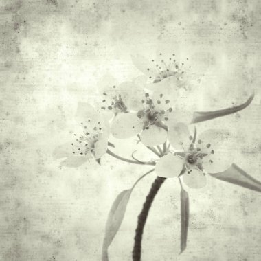  Eski kağıt arkaplan