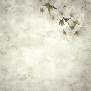  Eski kağıt arkaplan