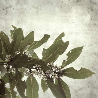  Eski kağıt arkaplan