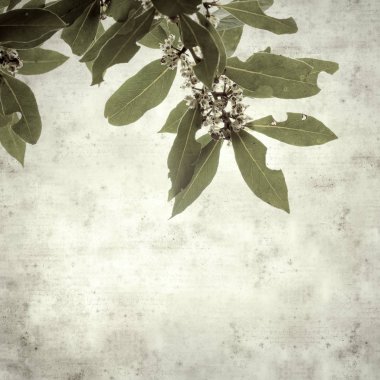  Eski kağıt arkaplan