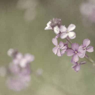  Eski kağıt arkaplan