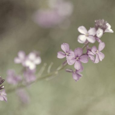  Eski kağıt arkaplan
