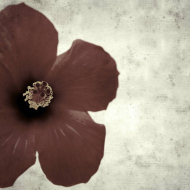  Eski kağıt arkaplan