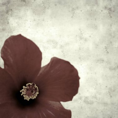  Eski kağıt arkaplan