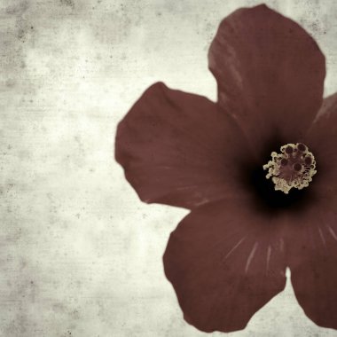  Eski kağıt arkaplan