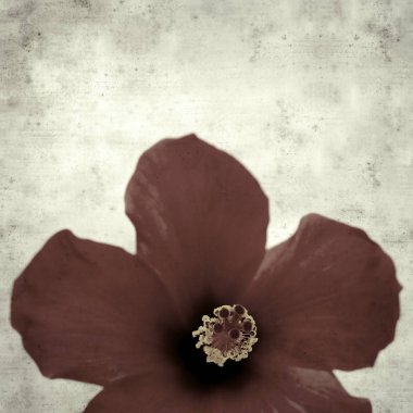  Eski kağıt arkaplan