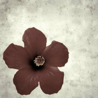  Eski kağıt arkaplan