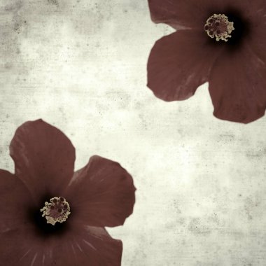  Eski kağıt arkaplan