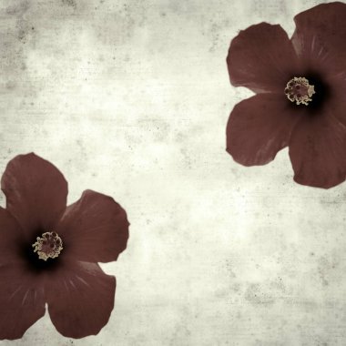  Eski kağıt arkaplan