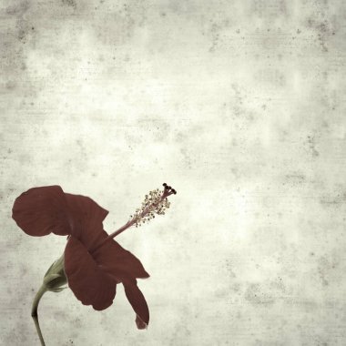  Eski kağıt arkaplan