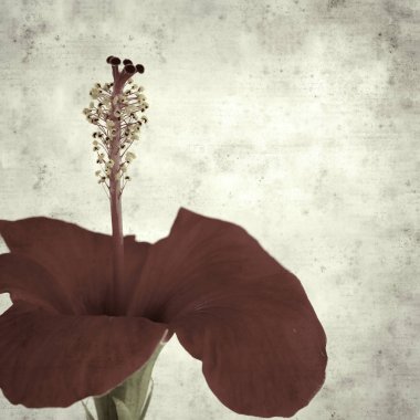  Eski kağıt arkaplan