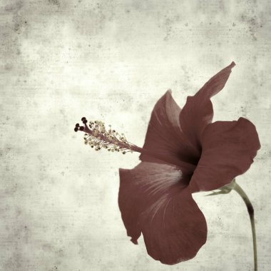  Eski kağıt arkaplan