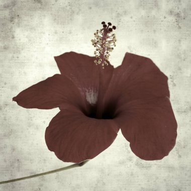  Eski kağıt arkaplan