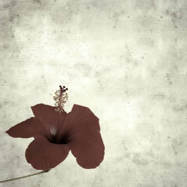  Eski kağıt arkaplan