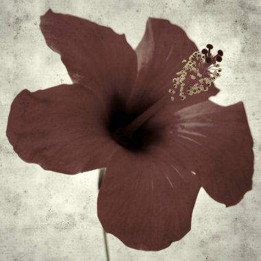  Eski kağıt arkaplan