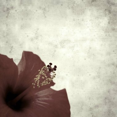  Eski kağıt arkaplan