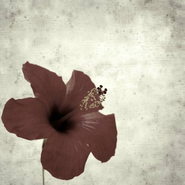  Eski kağıt arkaplan