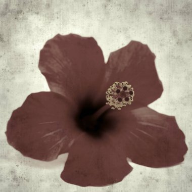  Eski kağıt arkaplan