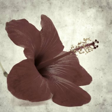  Eski kağıt arkaplan