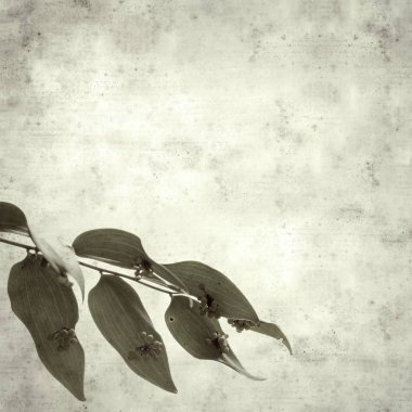  Eski kağıt arkaplan