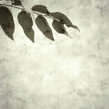  Eski kağıt arkaplan