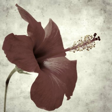  Eski kağıt arkaplan