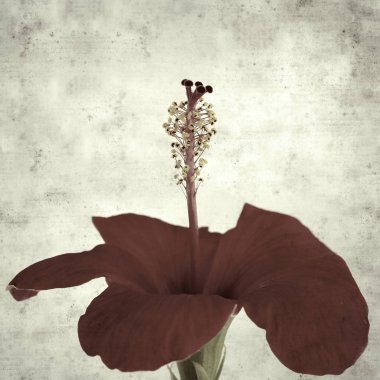  Eski kağıt arkaplan