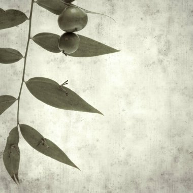  Eski kağıt arkaplan