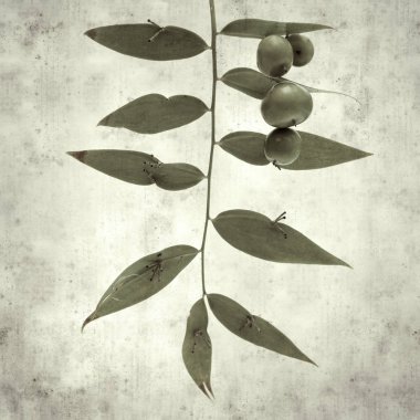  Eski kağıt arkaplan