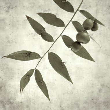  Eski kağıt arkaplan