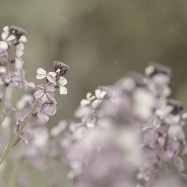 Staré pozadí papíru — Stock fotografie